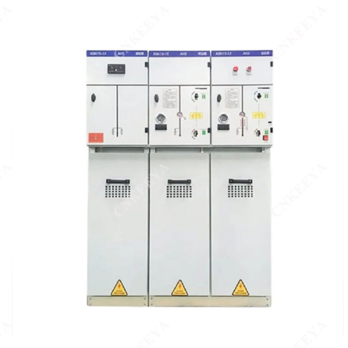 রিং প্রধান ইউনিট